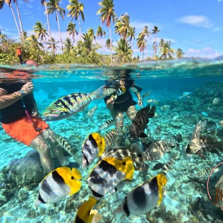 TevaitoaHutiarii House & Car & Excursions Raiatea别墅 外观 照片