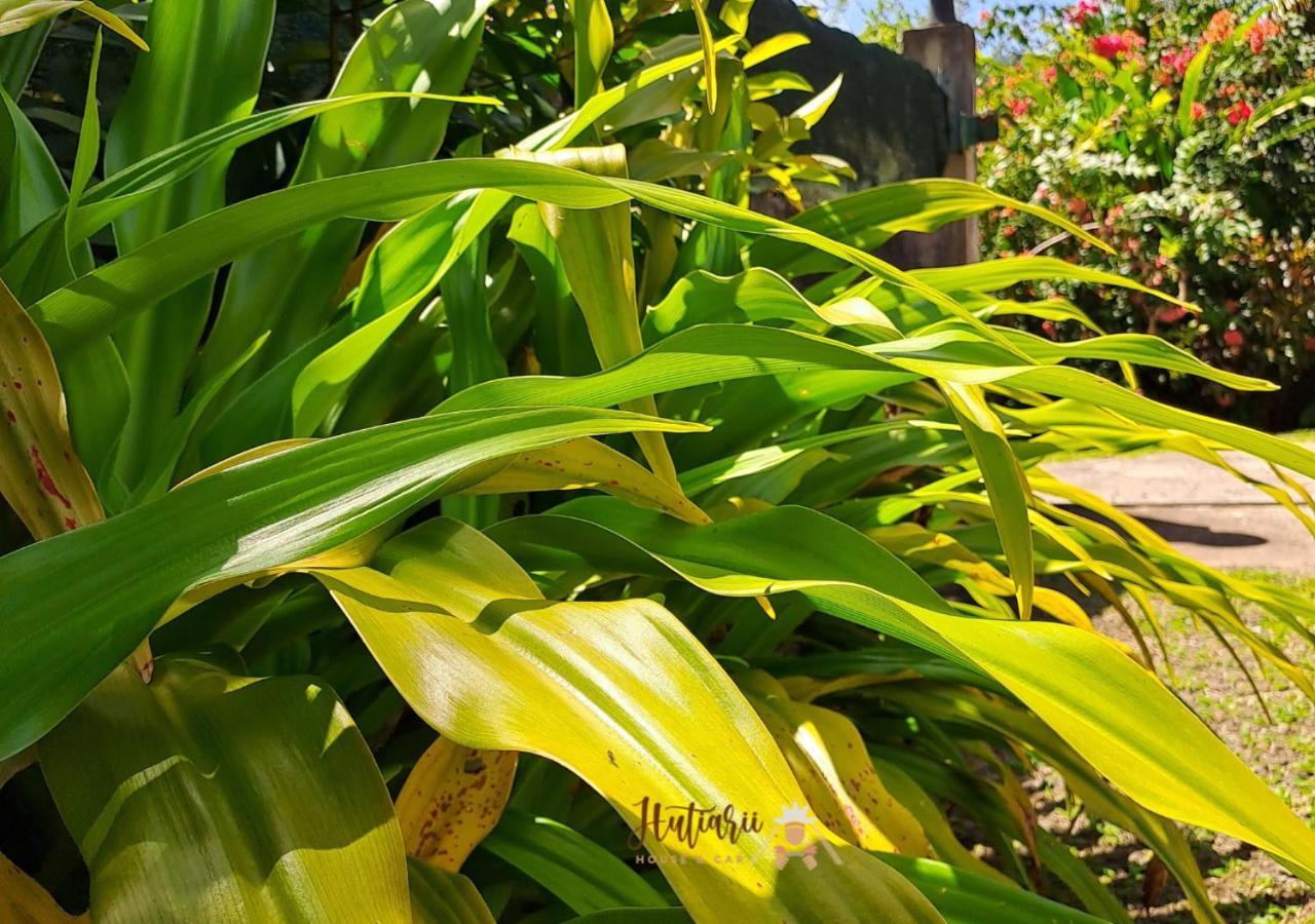 TevaitoaHutiarii House & Car & Excursions Raiatea别墅 外观 照片